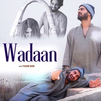 Wadaan (feat. shakir baba) - Single - Yasir Dar