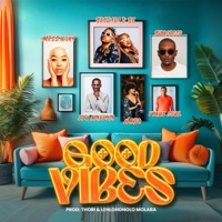 Good Vibes (feat. BlaqZicco, Miss Noxy, Itu Marema, VigueSoul & Hayla) - Single - BigDada & BE
