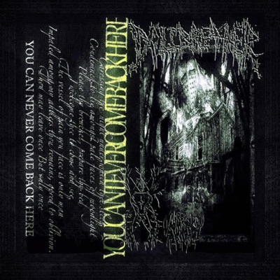 YOU CAN'T EVER COME BACK HERE