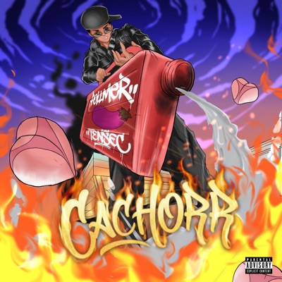 CACHORR - Single