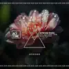 You Got the Love (Santify Mix)