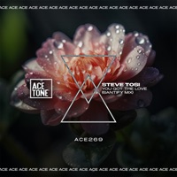 You Got The Love (Santify Mix)