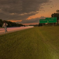 Strawberry Plains - Lamont 865