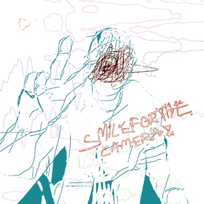 Niché Internet Micro Celebrity - Single