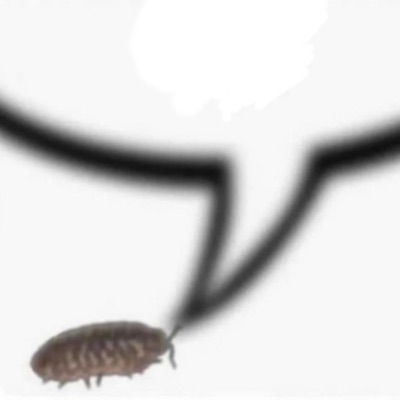 revolutionary war happening in ur backyard - Single