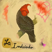 La Indicada - Single - Gaucho GB