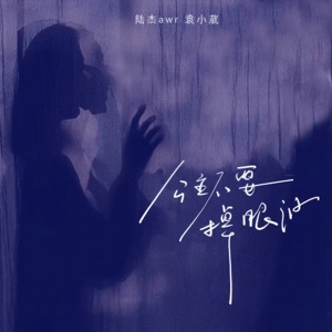 公主不要掉眼泪 - Single