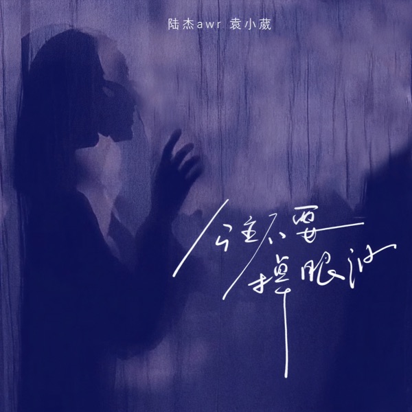 公主不要掉眼泪 - Single