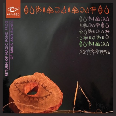 Return of Magic Pond Frog / Of Birds and Bones - Single
