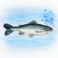 salmon - Single - MF Eistee