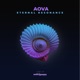 Eternal Resonance Single