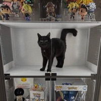 TOGEPI FREESTYLE - Single - Yung Crusha & Rxseboy