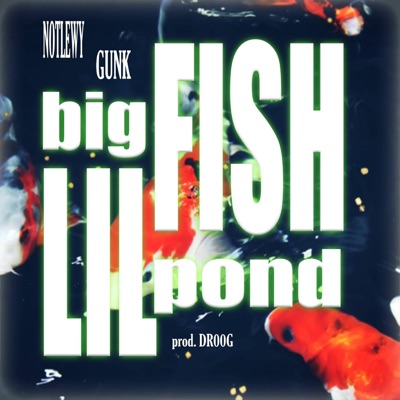 BIG FISH LIL POND (feat. GunK) - Single