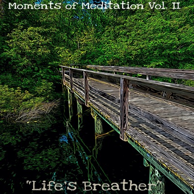 Moments of Meditation Vol. II "Life's Breather"