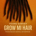 GROW MI HAIR - Single