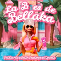 La B Es de Bellaka (feat. salon sandunga & kapotik) - Single - Pablito Mix