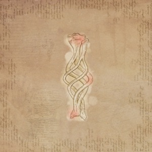 Steady On - Single