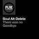 There Was No Goodbye Single