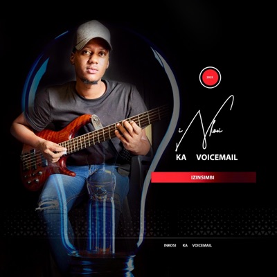 Izinsimbi - Single