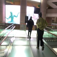 set u free - Single - arl