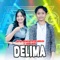Delima (feat. Ageng Music) - Cantika Davinca & Putra Angkasa lyrics