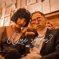 ¿Qué Somos? (feat. Nia Rousse & JcovKTM) - Single - Pin