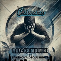NDICKS MUIMBI(CHIWANA MP3) (feat. TAKSNOVA DSOUL BEATS) - Single - PROtainment Record Label