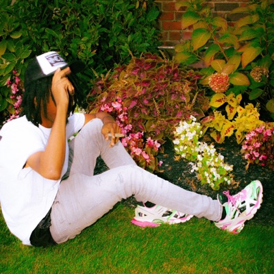 Passionfruits - Single