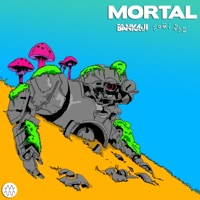 MORTAL (feat. Comisar) - Single - Bankaji