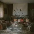 Sink or Swim