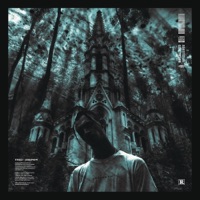 Аквариум - Single - STED.D