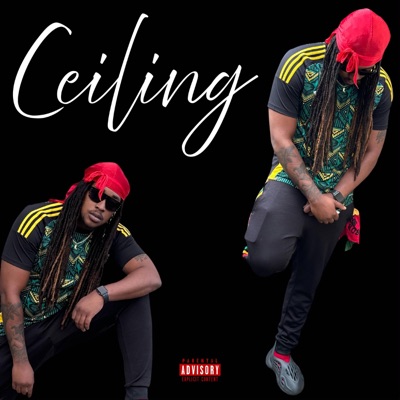Ceiling - Single