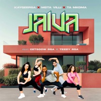 Jaiva (feat. Cetsoow Rsa & Tezzy Rsa) - Single - KaygeeRsa, Msta Villi & Ta Mkoma
