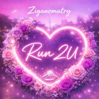 Run 2U - Single - Ziganomatry