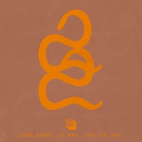 Fool for Love - Single - Harry Romero & Leo Wood