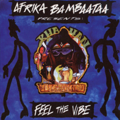 Feel the Vibe (feat. Afrika Bambaataa) [Radio Vibe Mix]
