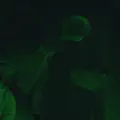 Noch Nie Gesehen