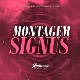 Montagem Signus (feat. Mc Magrinho & DJ Magrin Da DZ7) Dj prodok