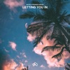 Letting You In - Single