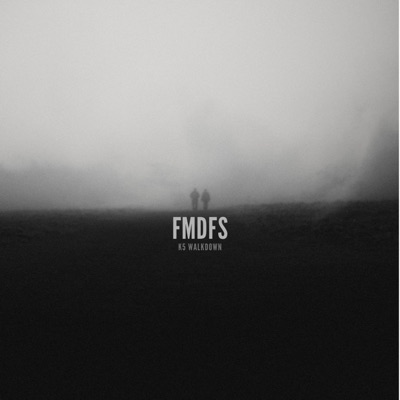 FMDFS - Single