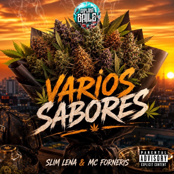 Varios Sabores