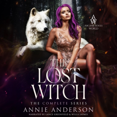 Arcane Souls World: The Lost Witch, Complete Series (Unabridged) cover