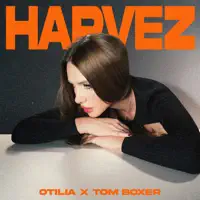Harvez — OTILIA, Tom Boxer