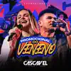 Banda Cascavel - Como um Cristal
