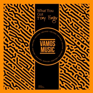 What You Got - Single