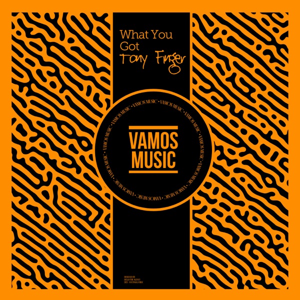 What You Got - Single