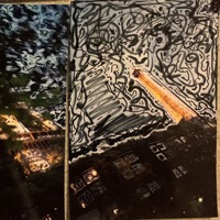 Bird Seed - Single - Kiran Kai & Jesse James Solomon