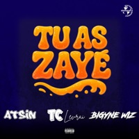 Tu as zayé (feat. TC & Bigyne Wiz) - Single - ATSIN