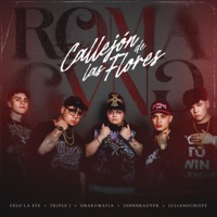 EL CALLEJON DE LAS FLORES (feat. Felolaefe, 3TRIPLE J, Johnbradypr & Axl Boore) - EP - Drakomafia, JulianoChieff & Roma Gang