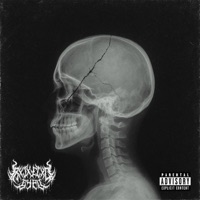 SKULL CRACK - Single - Rxjxctxd by all